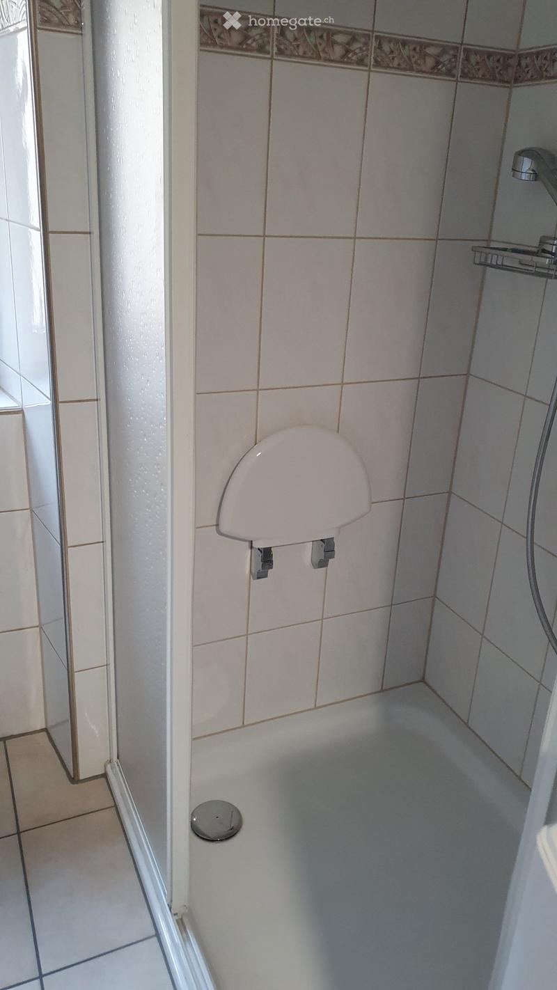 Schöne 2.5 Zimmer-Wohnung zu vermieten (5)