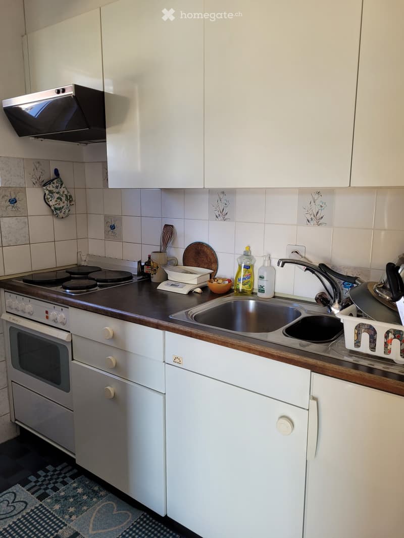 Vendo 2.5 Locali centro di Minusio, anche a reddito (3)