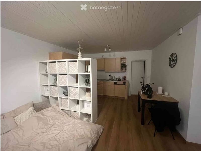 Modern studio with sunny terrace and top connection (2)