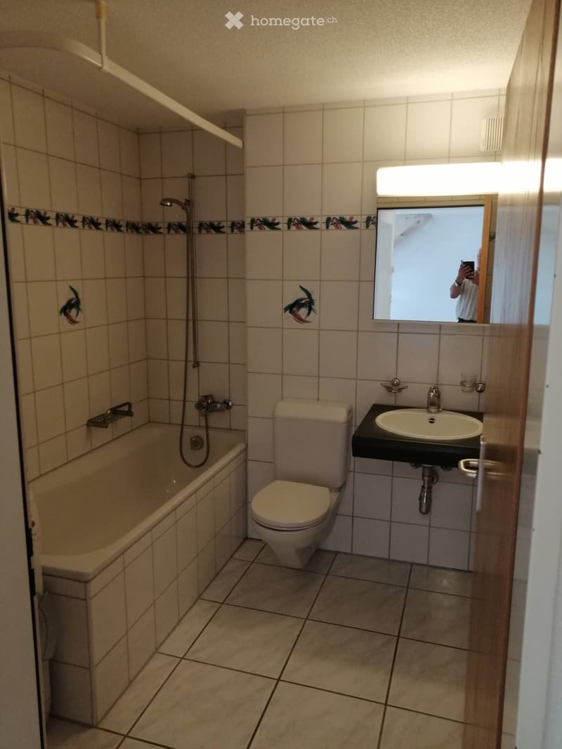 Charmant appartement en maisonnette avec balcon (3)