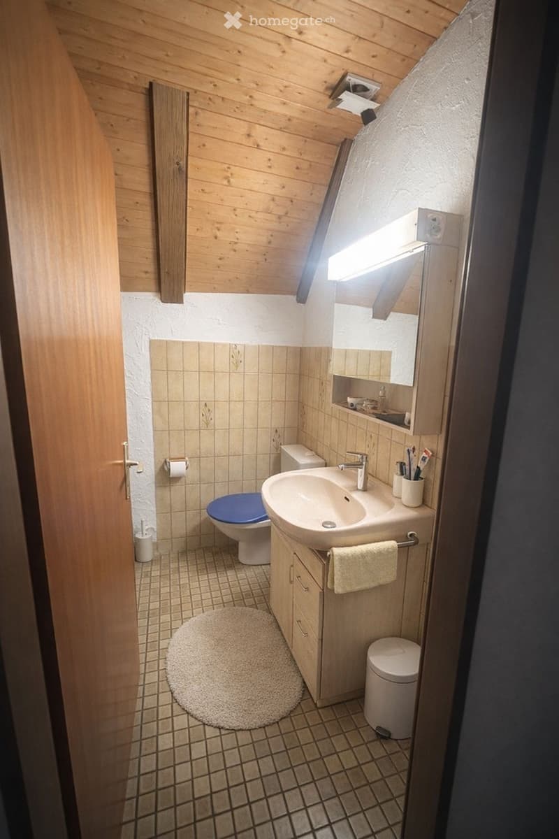 Charmante 2.0-Zimmer-Dachwohnung im Dorfkern von Frenkendorf (3)