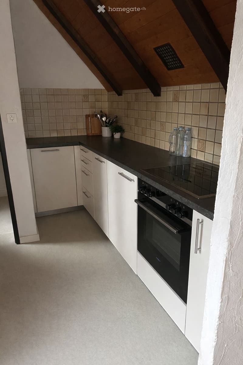 Charmante 2.0-Zimmer-Dachwohnung im Dorfkern von Frenkendorf (2)