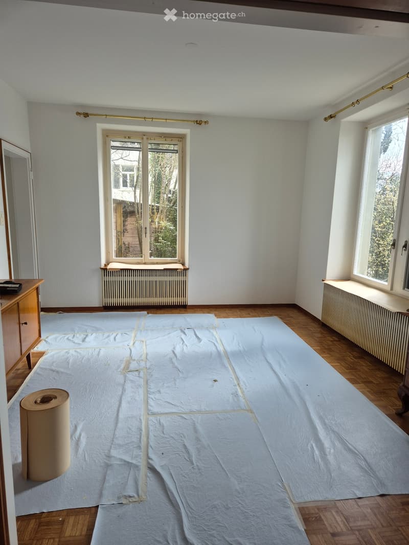 Beautiful Apartment (5)