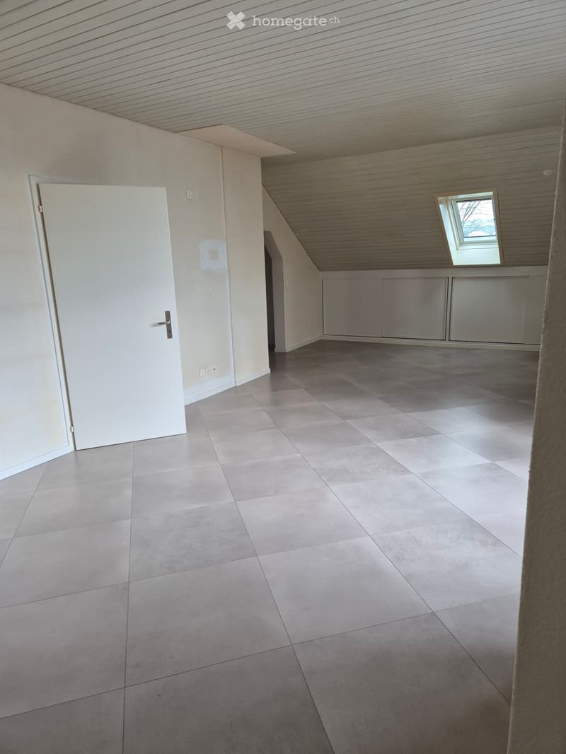 Beautiful Apartment (4)
