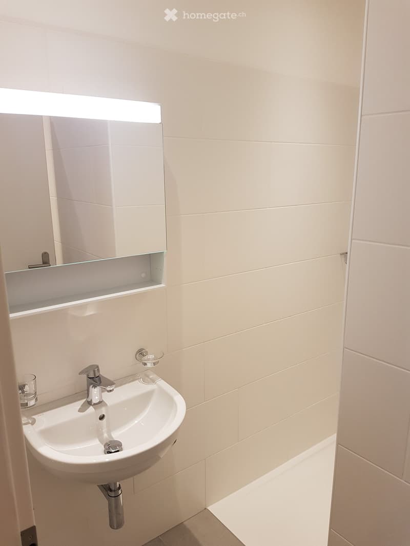 Locarno - spazioso 4.5 locali centro città (ref. 1422-2) (9)