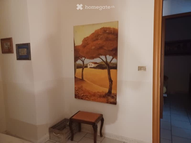 luminosissimo 2,5 (2)