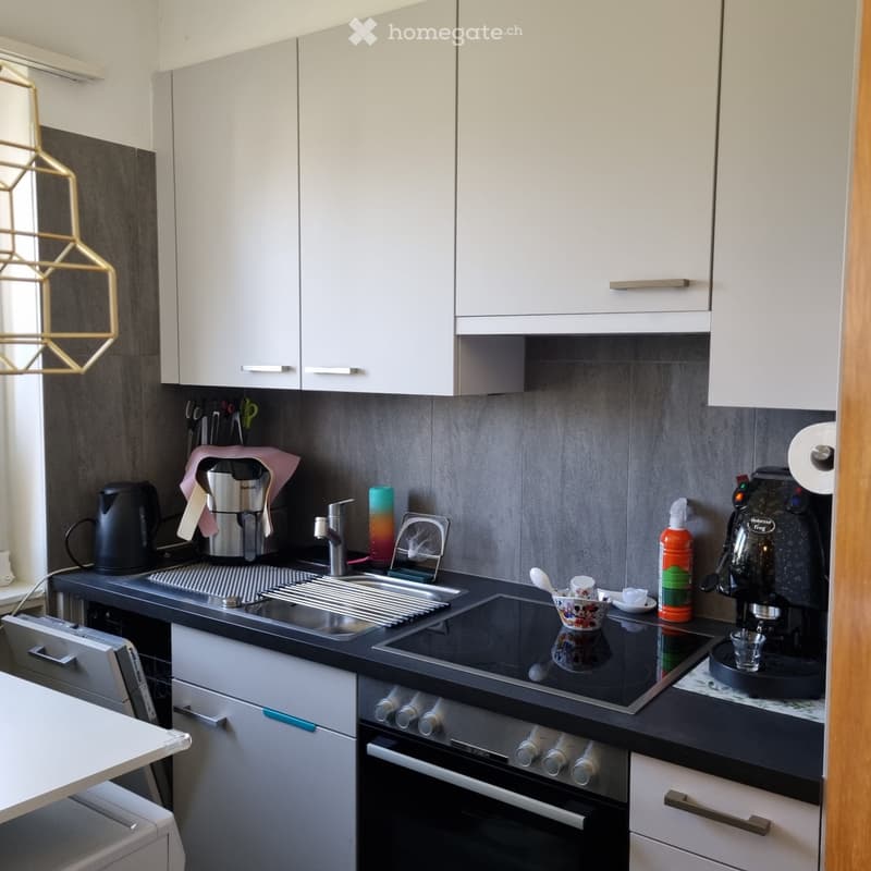 Appartamento 3,5 locali (5)