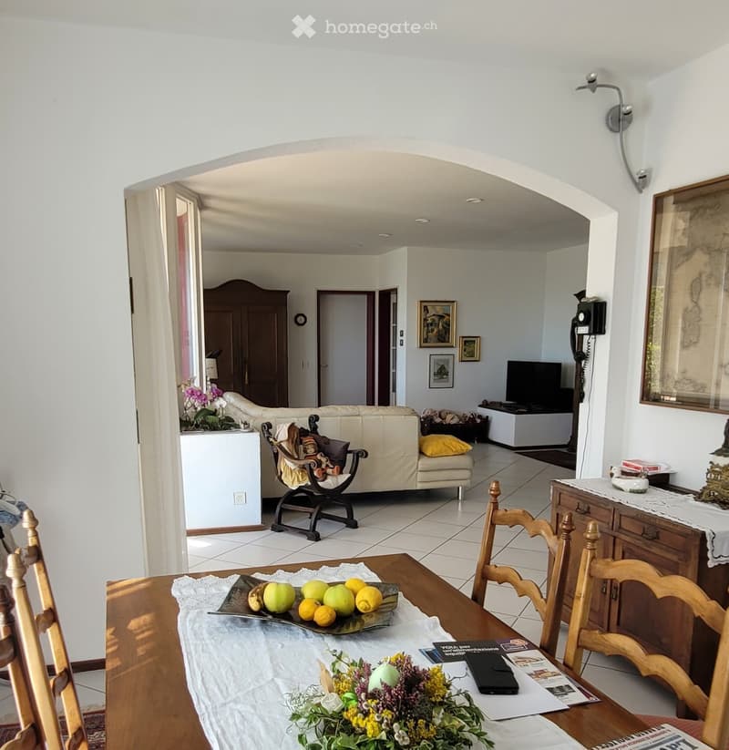 vendesi splendida villa con piscina nel Mendrisiotto (3)