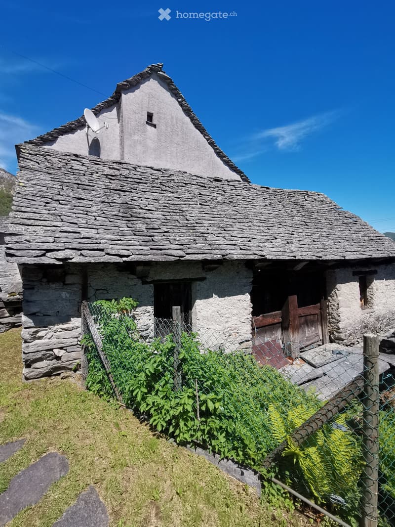 Vendo vecchia stalla (3)