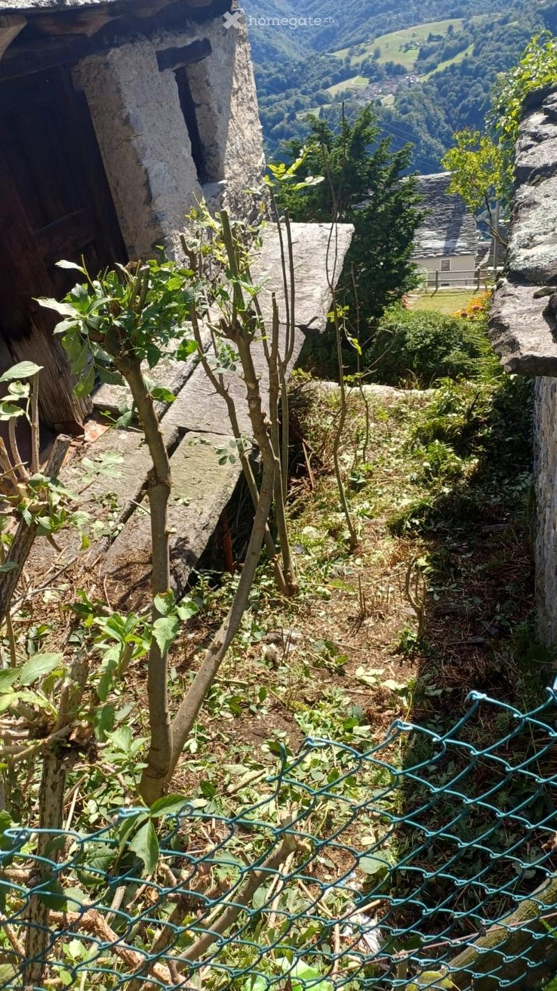 Vendo vecchia stalla (5)
