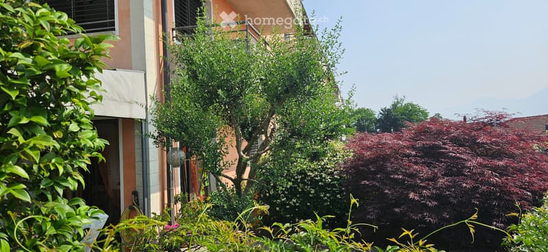 Appartamento PPP vista lago e giardino (3)