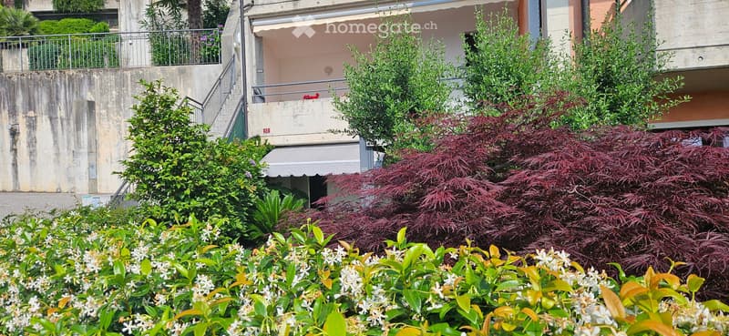 Appartamento PPP vista lago e giardino (2)