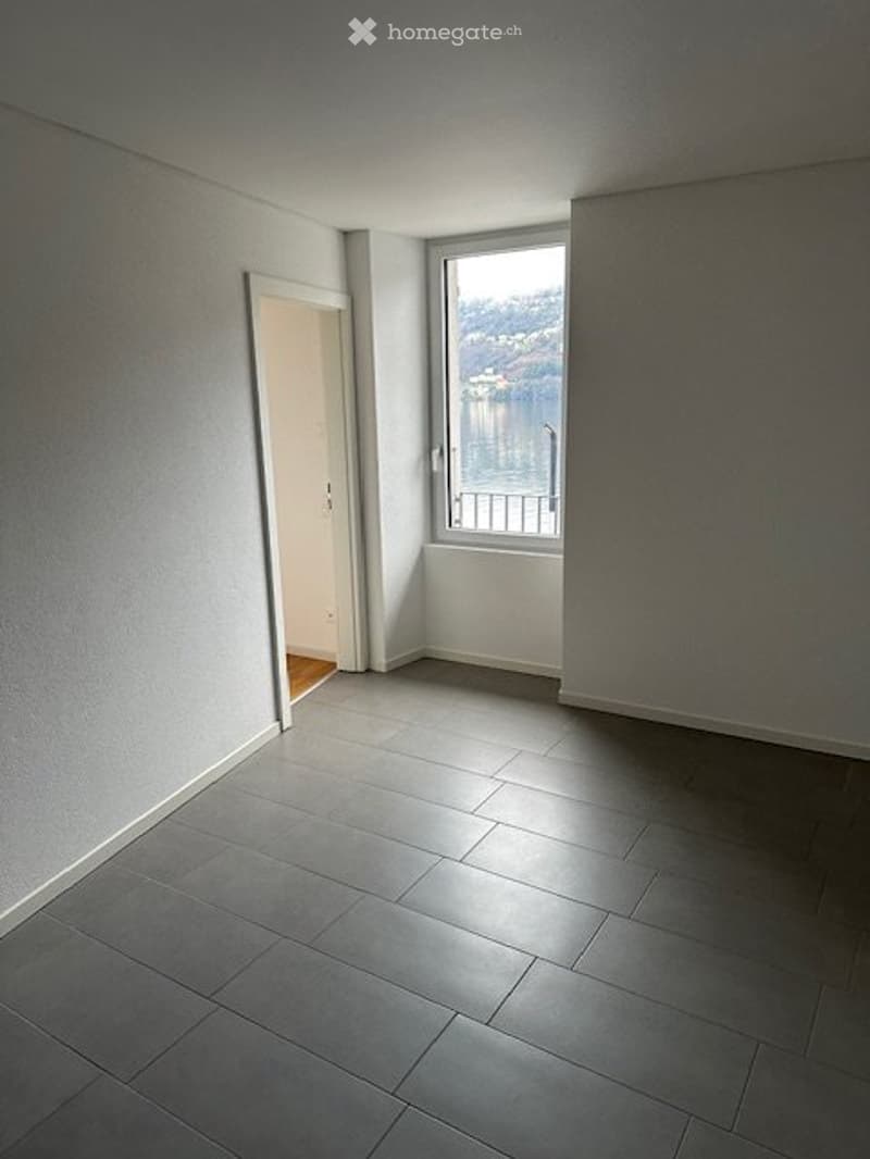 Affittasi appartamento con vista lago (4)