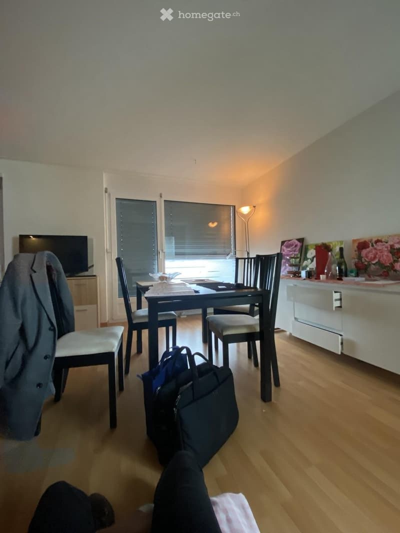 High-quality 1.5-room apartment with balcony & furnished (4)