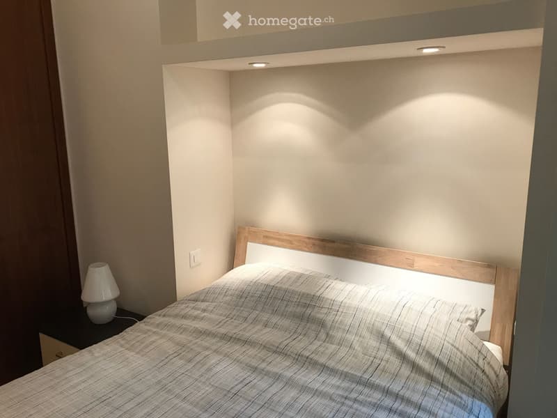 APPARTAMENTO AMMOBILIATO IN CENTRO LUGANO (3)
