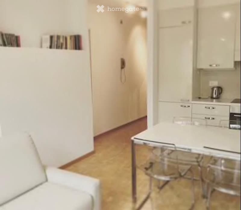 APPARTAMENTO AMMOBILIATO IN CENTRO LUGANO (2)