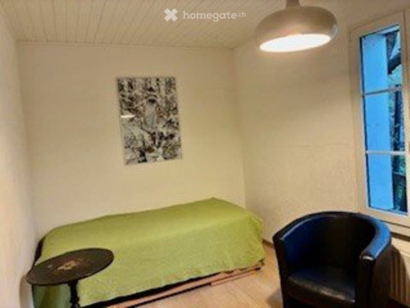 Beautiful 5.5-room apartment for sublet (4)
