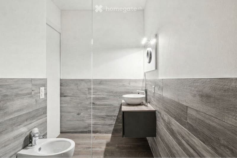 Affitto moderno appartamento 1.5 locali (5)