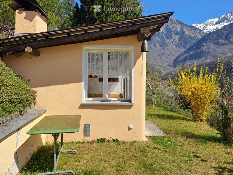 Vendesi Casa con giardino e Garage (5)