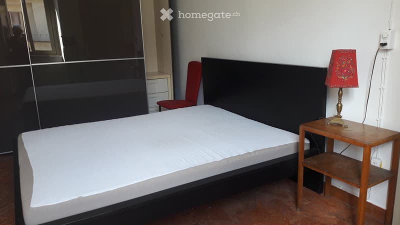 Appartamento ammobiliato (3)