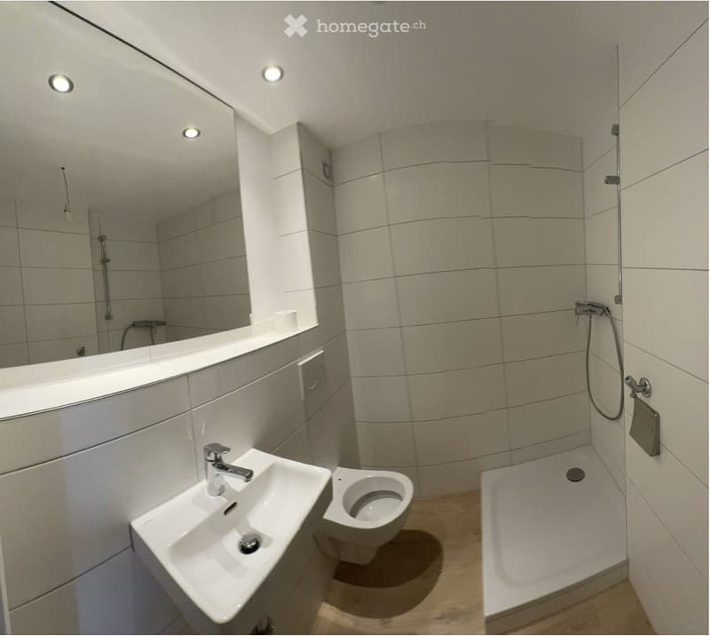 1,5 Zimmer bei Murten (4)