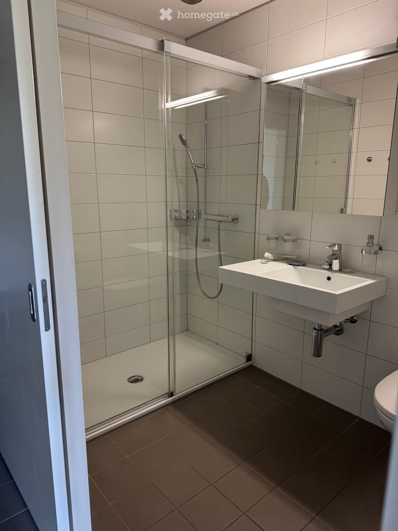 4 1/2-room apartment with garden, limited term (until 31.12.2027) (4)