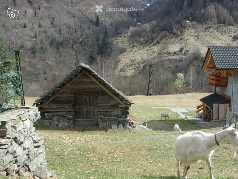 RUSTICO da riattare a NIVA Campo Vallemaggia (3)