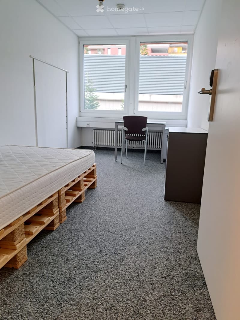ab sofort zum vermieten (2)
