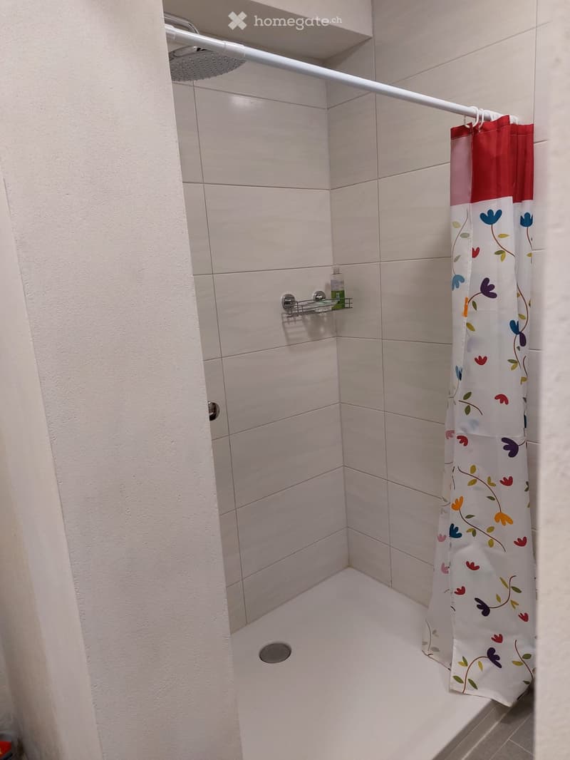 Une chambre de colocation simple et accueillante (3)