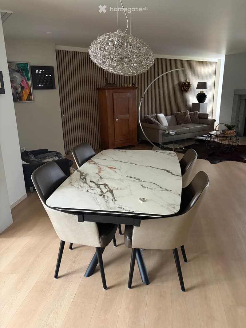 Wohnung 2.5 (3)