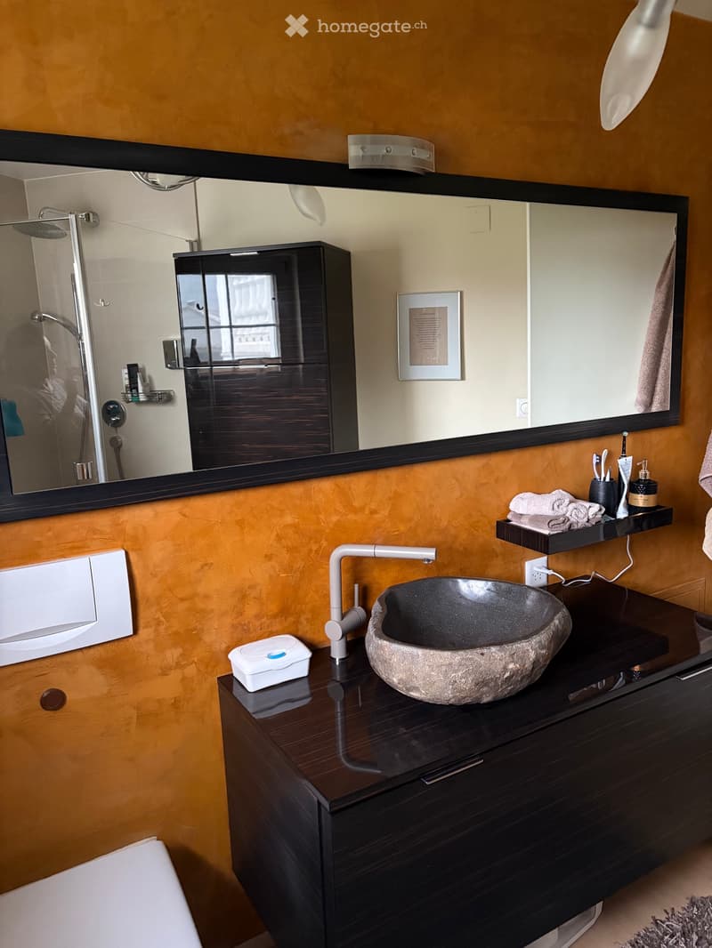 Wohnung 2.5 (4)