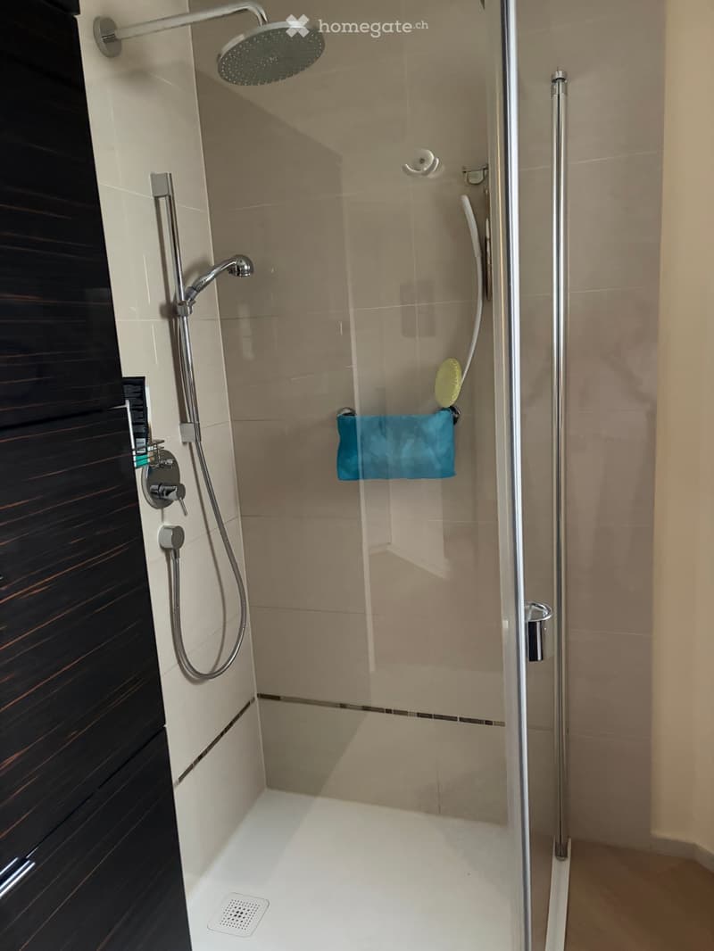 Wohnung 2.5 (5)