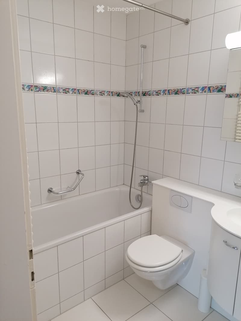 Appartamento 3 locali a Winterthur (3)