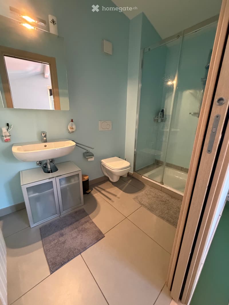 Duplex arredato 2.5 locali con soppalco Riva San Vitale (5)