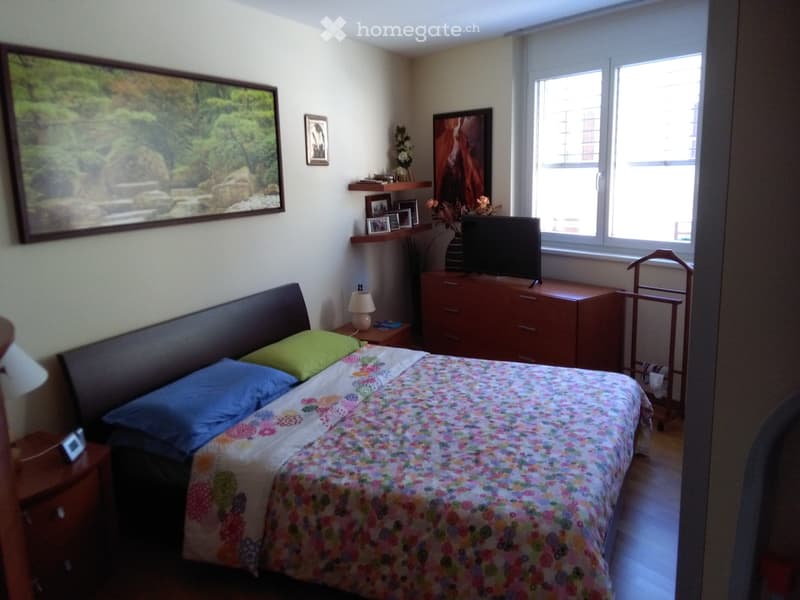Appartamento  al 1 piano a  Vacallo (3)