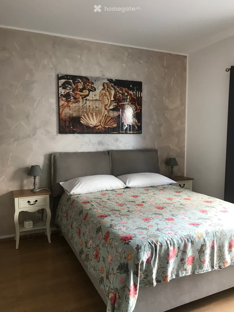 Ampio monolocale ARREDATO 50mq (3)