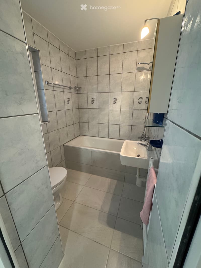 Wohnung zu vermieten (3)