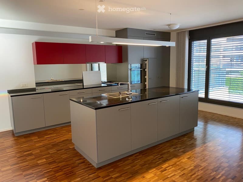 Appartamento loft a Küssnacht am Rigi con vista sul lago (4)