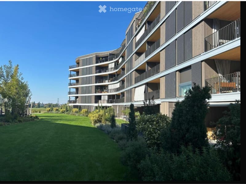 Apartment in Fällanden in a quiet location (1)