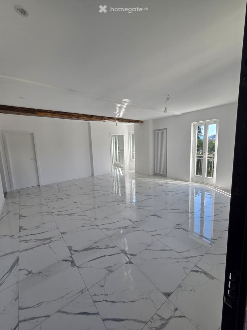 Appartamento 4.5 locali (4)