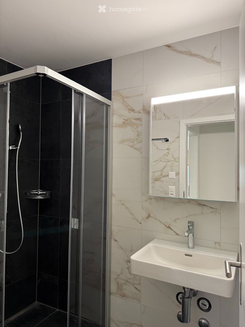 3.5 Zimmer, 71m², CHF 1'550.- (3)