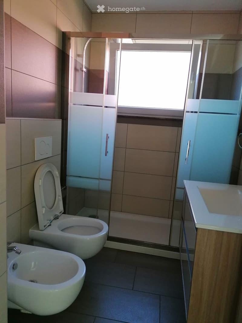 Affittasi appartamento 4.5 locali con giardino S.Antonino (5)
