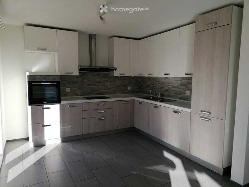 Affittasi appartamento 4.5 locali con giardino S.Antonino (3)