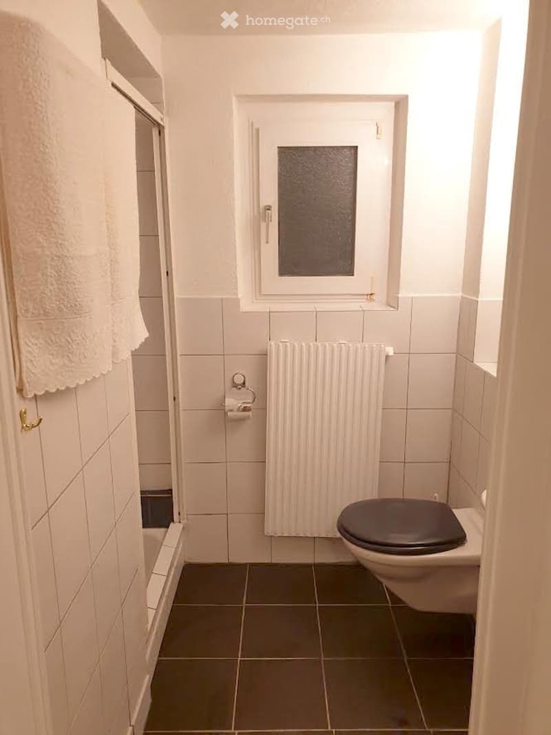 3 Zimmer Wohnung 1. Stock in Solothurn sucht Nachmieter (5)
