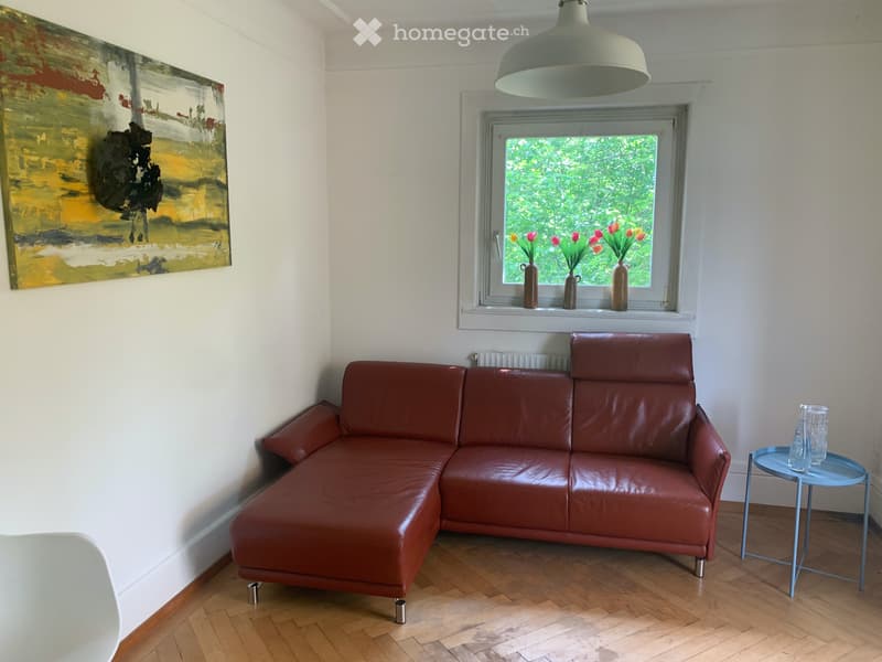 3 Zimmer Wohnung 1. Stock in Solothurn sucht Nachmieter (2)