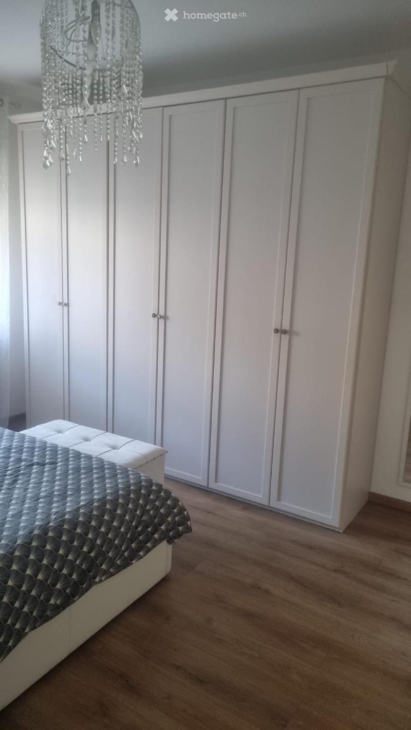 Cerco subentrante 3.5 locali a Chiasso (5)