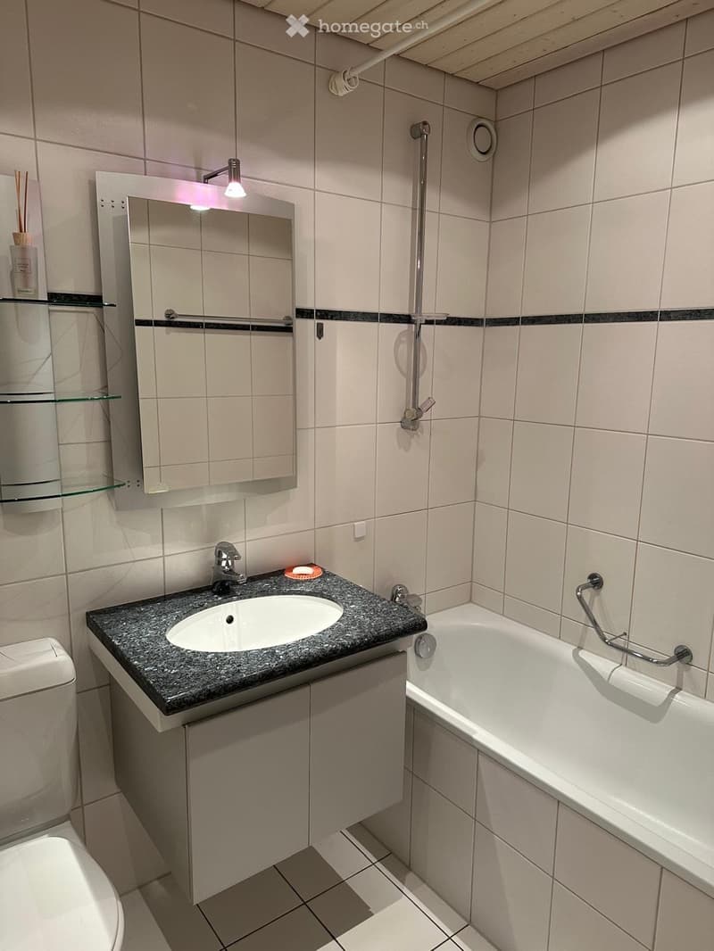 Im Bern-Wittigkofen mit Aussicht zu vermieten (2)