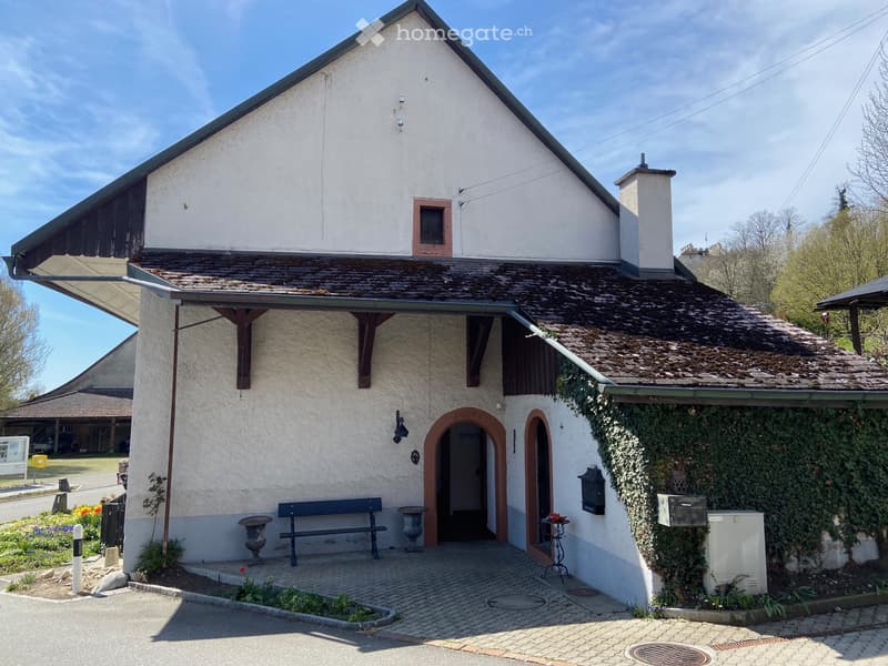 5.5 Room House with Character in Habsburg (3)