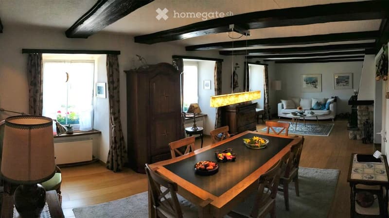 5.5 Room House with Character in Habsburg (2)