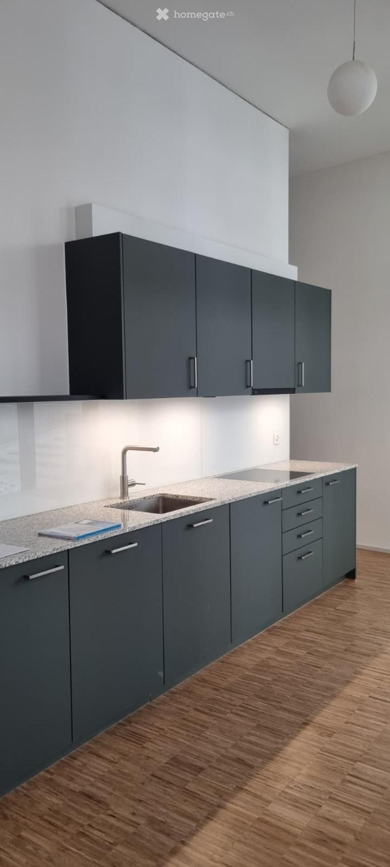 Tolle Neubauwohnung (3.5-Zi) in Altstadt SH sucht Nachmieter (4)
